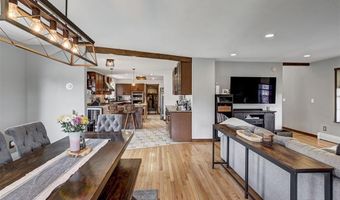 261 COUNTY ROAD 6, Alma, CO 80420
