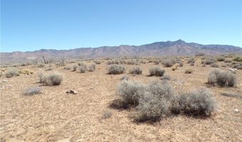 308-19 248 N Abeche Dr, Chloride, AZ 86431