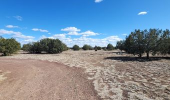 3597 Boone Trl, Ash Fork, AZ 86046