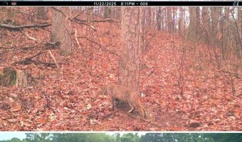 12195 Hwy 587, Beattyville, KY 41311