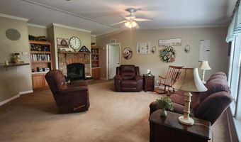 786 Blackberry Rd, Baconton, GA 31716