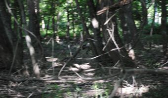8000 E 1000 S, Austin, IN 47102