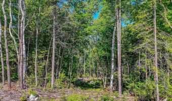 000 Ridge Rd 28, Bethlehem, NH 03574