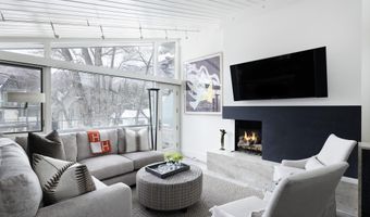 1001 E Cooper Ave 2, Aspen, CO 81611