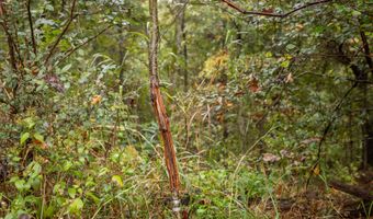 2421 Moorison Loop, Anderson, MO 64831