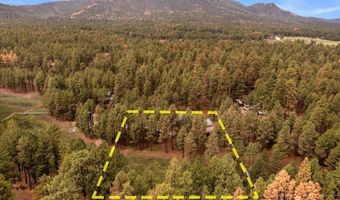 11 Whitetail Rd, Alpine, AZ 85920