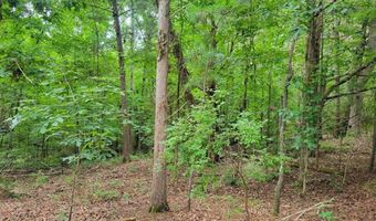 1110 Puckett Town Rd, Bradley, SC 29819