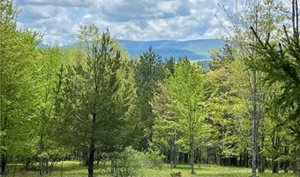 Crescent Hill Road, Andes, NY 13731