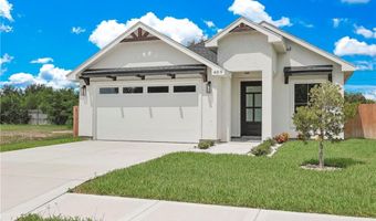 409 S 12th St, Alamo, TX 78516