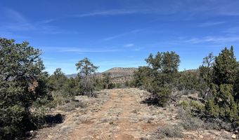 362 Big View Trl, Ash Fork, AZ 86320