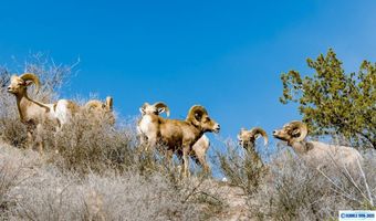 505 Game Department Rd, Buckhorn, NM 88025