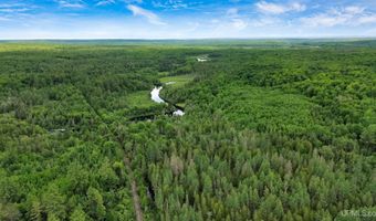 40 Acres Wide Waters Rd, Amasa, MI 49902