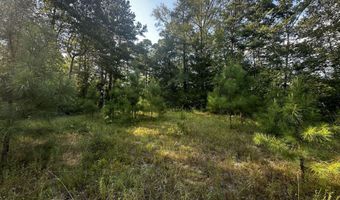 137 Shorter Rd, Braxton, MS 39044