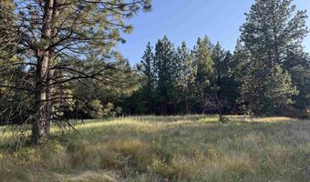 Tbd Harlow Ridge Rd - Cloverland Estates 36, Asotin, WA 99402