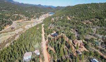 272 Wise Rd, Bailey, CO 80421