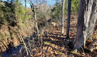 4775 S 50th Rd, Aldrich, MO 65601