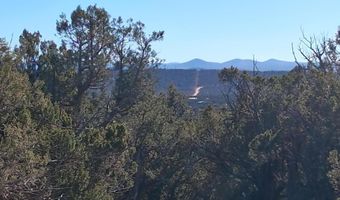 0203 County Rd, Concho, AZ 85924