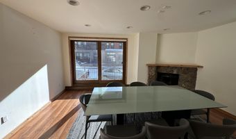 210 E Hyman Ave 201 & 202, Aspen, CO 81611