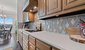 1052 Winecup Ln, Weatherford, TX 76085