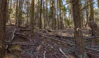 Back Basin Rd lot 145, Angel Fire, NM 87710