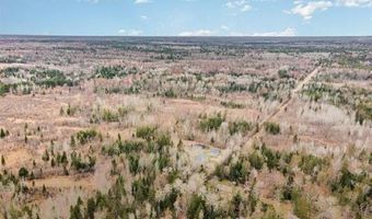 6002 Wildwood, Alger, MI 48610