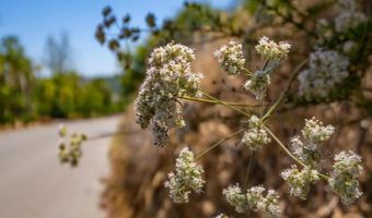 0 Ranger Rd, Fallbrook, CA 92028