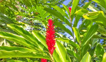 4685 Uakea Rd, Hana, HI 96713