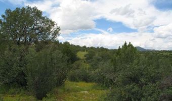 Tract C XYZ Ranch Road, Silver City, NM 88061