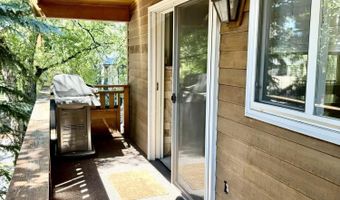 805 E Cooper Ave 12, Aspen, CO 81611