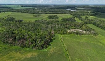 S1/2 SW1/4 8-162-74 & NW1/4 SW1/4 8-162-74, Bottineau, ND 58318