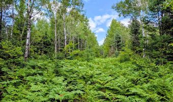 33 Acres Off Net Riv, Amasa, MI 49903