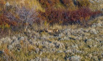 TBD Crow Lane Lot 61, Banner, WY 82832