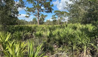 0 ALTURAS BABSON PARK CUT OFF Rd, Bartow, FL 33830