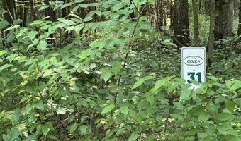 31 Oak Dr, Albright, WV 26519