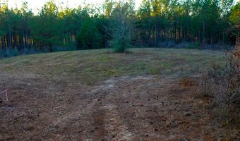 295 Ac Highway 84, Elba, AL 36323