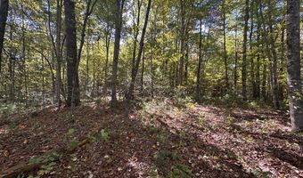 18 6 Acres Cave Branch Rd, Allardt, TN 38504