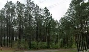 00 Pleasant Grove Church Road B, Albany, GA 31707