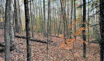 4-1 7 Hodgeman Hill Rd, Campton, NH 03223