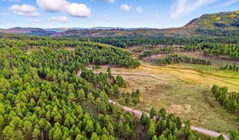 1 A FOREST ROAD 26, Alpine, AZ 85920