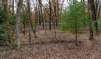 Dover Drive lot 1 14 Ac, Adams, WI 53910