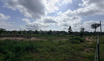 138 Little River 183, Ashdown, AR 71822