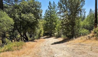 46467 Bissett Station Rd, Ahwahnee, CA 93601