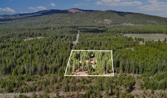 181 E Deer Meadow Ln, Blanchard, ID 83804