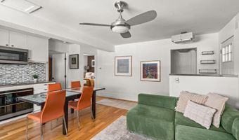 250 S Original St D, Aspen, CO 81611