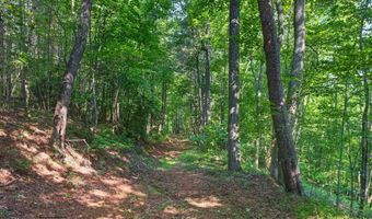 2025 Soap Creek Rd, Ball Ground, GA 30107