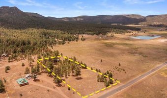 159 Correctional Center Rd, Alpine, AZ 85920
