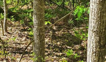 40 AC Werth Rd, Alpena, MI 49707
