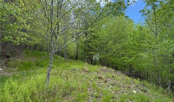 4 Fox Pointe Dr, Banner Elk, NC 28604