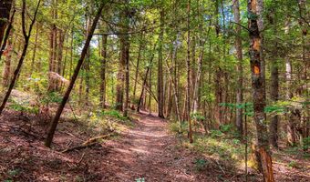 54 E Ridge Rd, Allardt, TN 38504