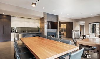 730 S Galena St, Aspen, CO 81611